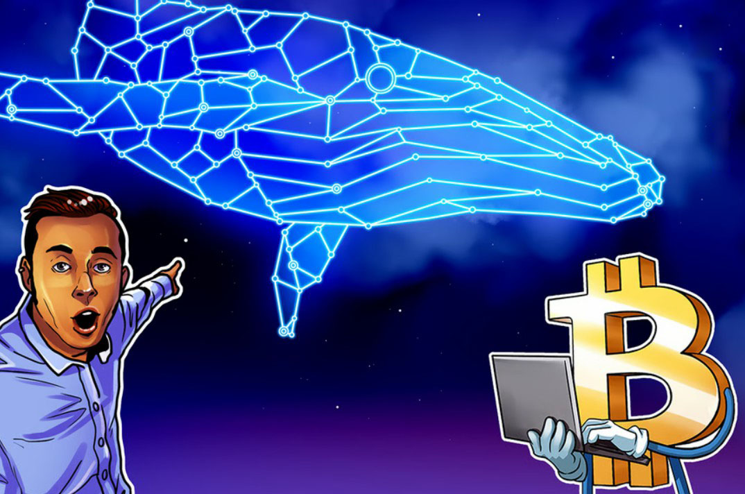 比特币（BTC）巨鲸持仓量在2023年以来最快抛售结束后出现21%反弹