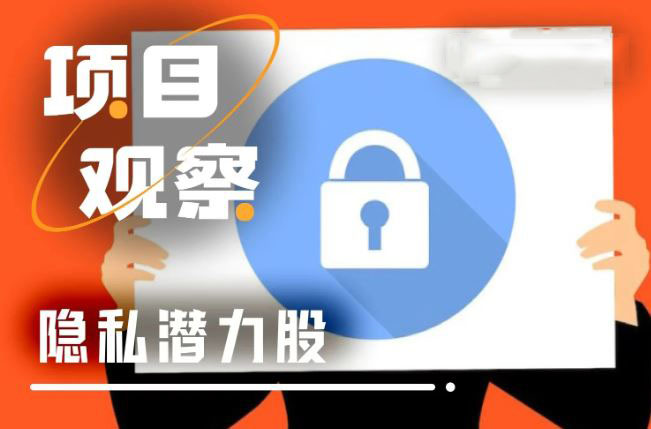 2026获得市场青睐的隐私项目