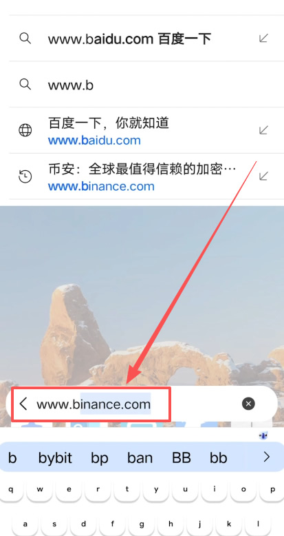 第一步:网络环境准备与访问官网