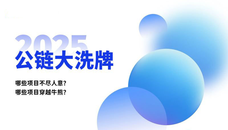 2025 公链大洗牌
