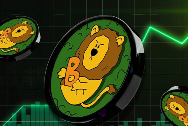 BuildOn (B) 价格飙升的原因是什么?