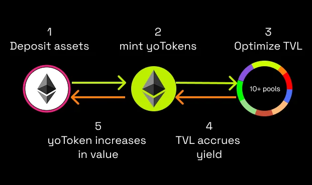 YO Protocol(YO)币详细介绍