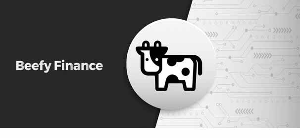什么是Beefy(BIFI)币?BIFI协议运作、代币用途与购买指南