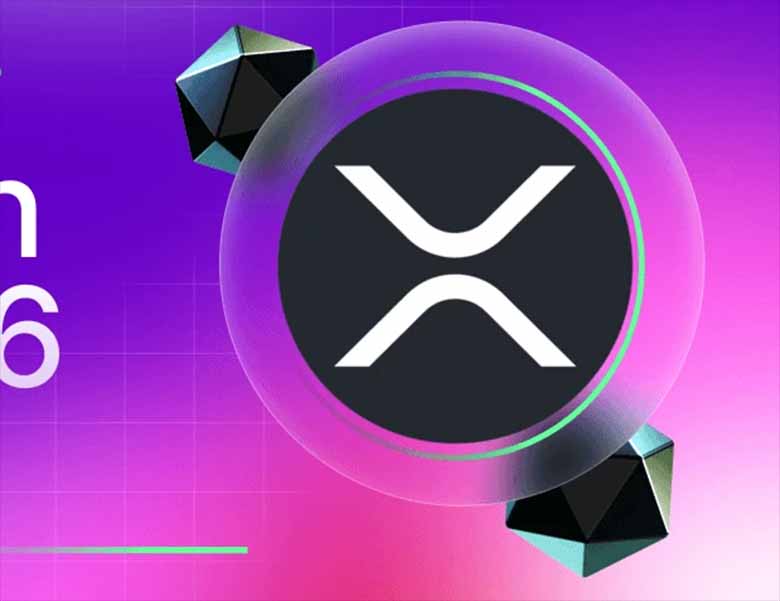 全球有多少人持有 XRP?2026年XRP币富豪榜