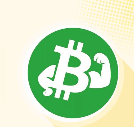 什么是FITCOIN以及它是如何运作的？