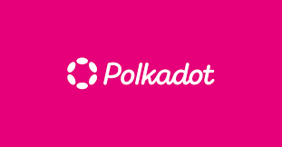 Polkadot DOT币