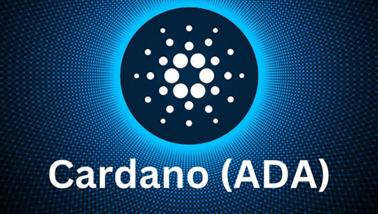 卡尔达诺 (ADA) 币价格为何下跌?未来如何?原理及生态系统挑战介绍