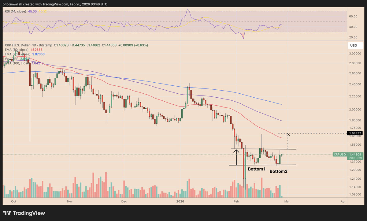 XRP3月能迎来20%反弹?