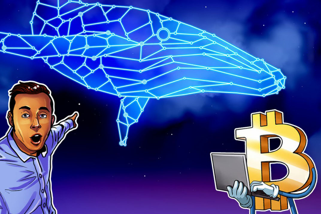 比特币巨鲸抄底4万枚BTC 推动价格反弹至7万美元