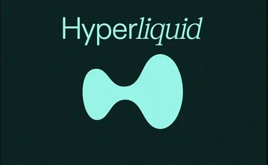 是什么让HYPE币逆势上涨？