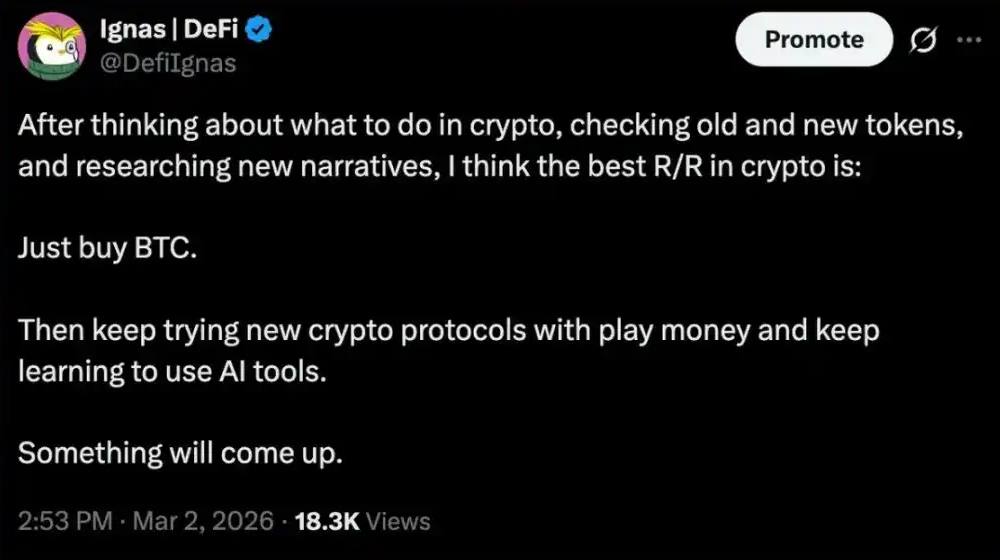 值得重点关注的加密货币盘点