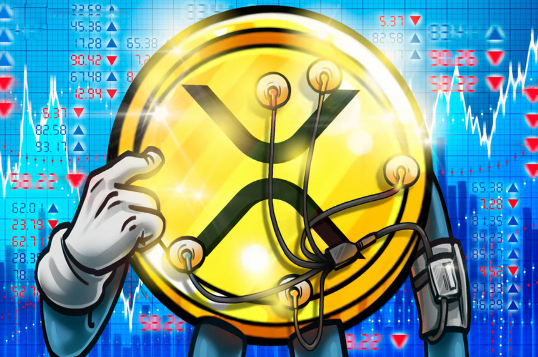 瑞波币（XRP）风险回报攀升，鲸鱼“动作”下价格会跟涨吗？