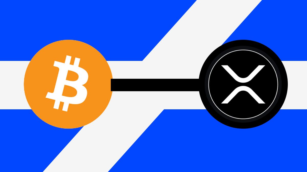 XRP vs. 比特币财富分配:哪个更加中心化?一文详解