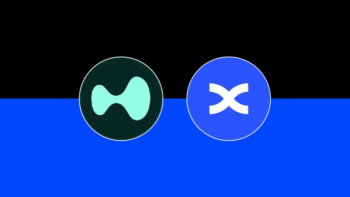 BingX vs. Hyperliquid (2026)：现货及期货费用、杠杆及跟单交易对比