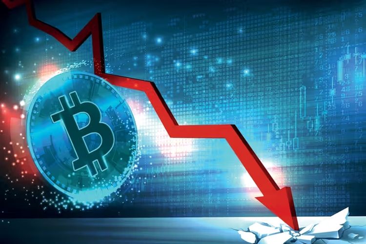 问题三：你能承受50%以上的亏损吗