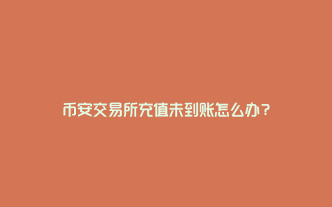 币安充值没到账怎么办？常见充提问题排查指南