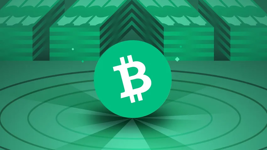 比特币现金（BCH）历史最高价、最低价与历年价格走势汇总