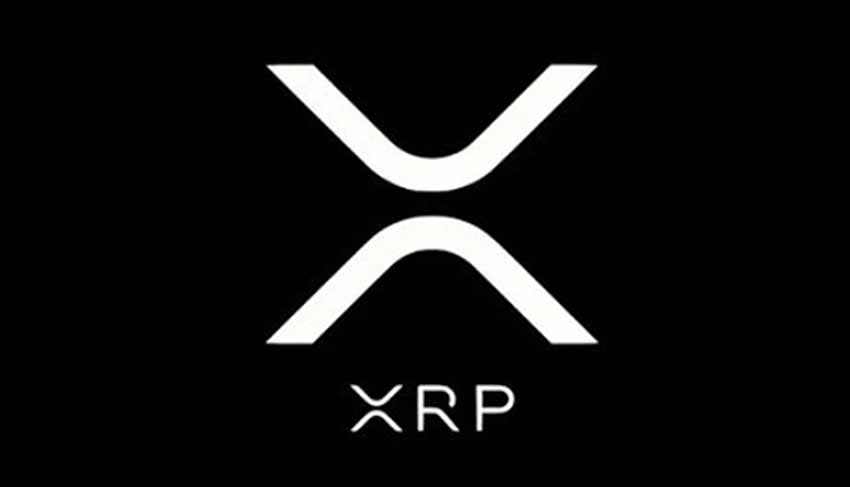 XRP币富豪榜:谁拥有最多 XRP?2026年财富阶层解析