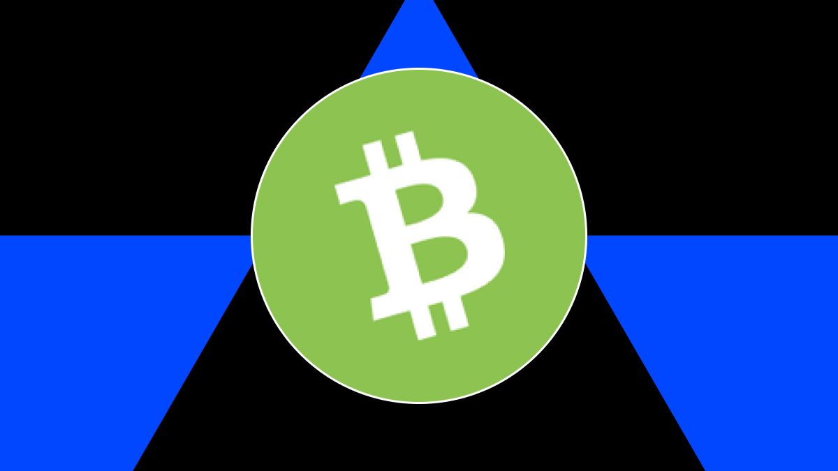 2026 Bitcoin Cash (BCH)币价格预测 ：Layla CashVM与ETF 双重影响解析