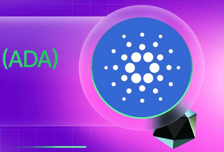 Cardano (ADA)持仓透视：解析最大持有者分布与去中心化真相