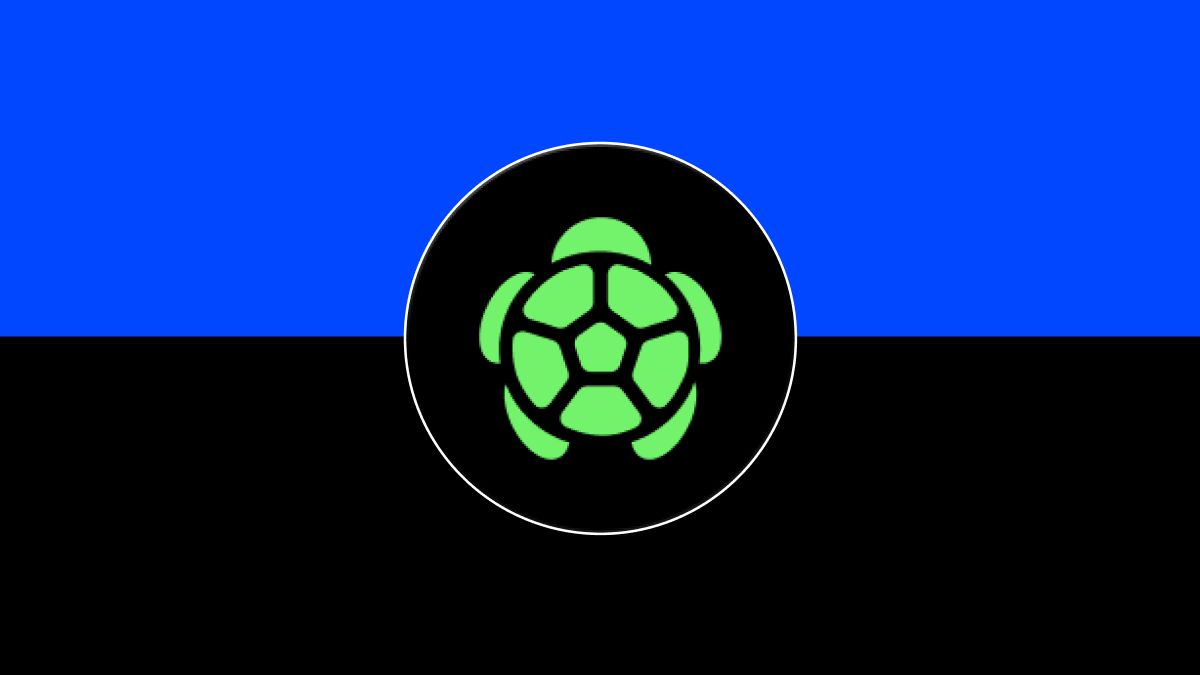 Turtle (TURTLE)代币解析：链上活动变现协议与空投指南