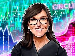 ARK Invest逆势增持Circle 22万股，坚定押注稳定币龙头长期价值