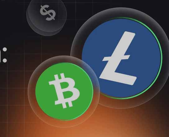 莱特币与比特币现金深度对决：交易效率、成本及扩展性全解析
