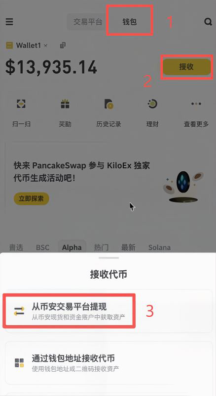借到BNB之后怎么充到钱包里？_图3