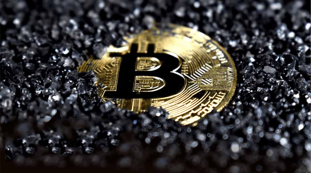 SpaceX时隔6个月首次转移BTC：88 美元小额测试交易信号解析