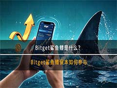 Bitget鲨鱼鳍产品解析：如何在保本基础上提升闲置资金收益？