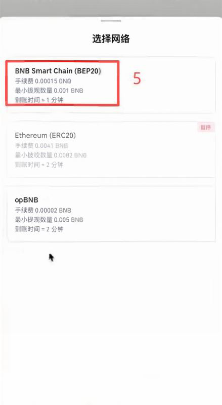 借到BNB之后怎么充到钱包里？_图5