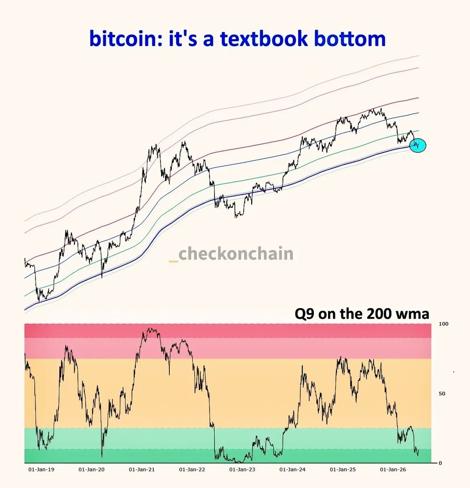 教科书级BTC筑底 投机者成焦点