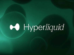 Hyperliquid新增scaleWei函数，解锁链上股票分红与拆股底层能力