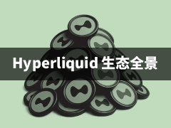 解构 Hyperliquid：从链上衍生品巨头到全球价值流转枢纽