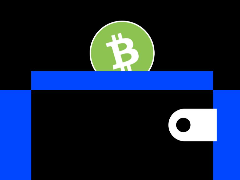 2026年比特币现金(BCH)最佳钱包推荐：七款主流产品深度评测
