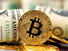 加密市场分化：BTC、稳定币、RWA与Meme币定价逻辑大解析