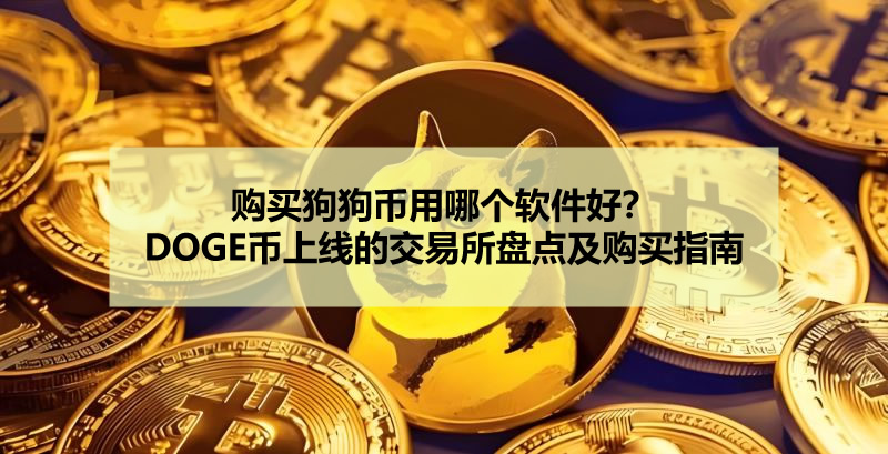 新手如何购买狗狗币？主流交易所评测及实操教程