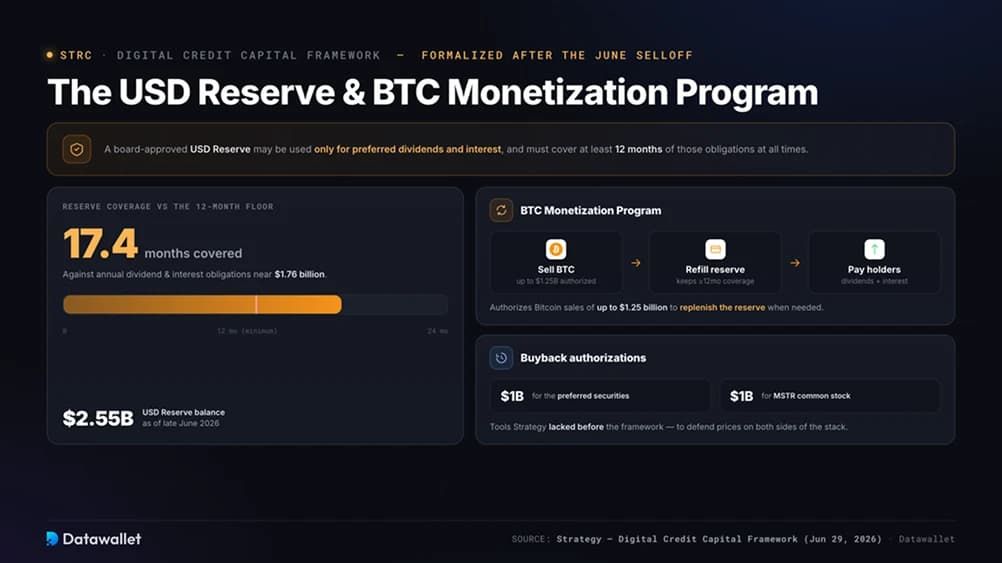 4. USD 储备和 BTC 货币化计划