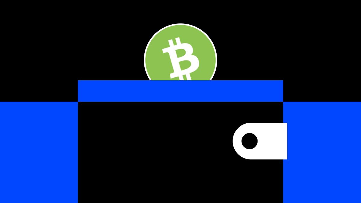2026年最佳的Bitcoin Cash (BCH)钱包有哪些？顶级钱包评测