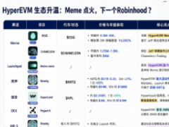HyperEVM生态热度剖析：Meme退潮后，谁将接力成为下一个Robinhood？