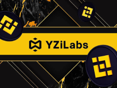 YZi Labs EASY Residency Q4 24强揭晓：深耕下一代全球金融基建