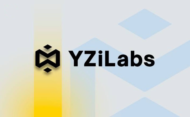 YZi Labs是什么