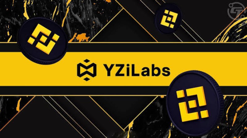 YZi Labs第四季EASY Residency入选项目