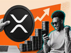 XRP持仓格局揭秘：持有7500枚即可跻身Top 5%