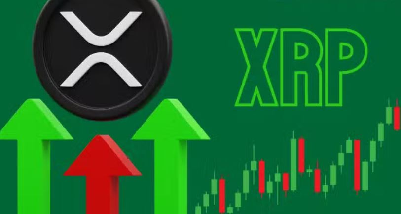 XRP出现历史少见价格信号