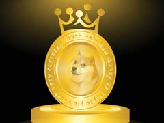 DOGE市场回暖：巨鲸逆势加仓2.4亿枚，后市关键点位解析