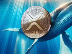 XRP遭遇近10%大跌，Hyperliquid高胜率巨鲸逆势加仓百万美元