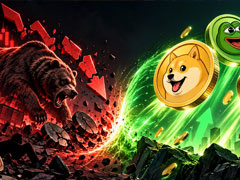近9.2亿美金空头爆仓助推Meme币狂飙：DOGE涨14%，PEPE飙升超25%