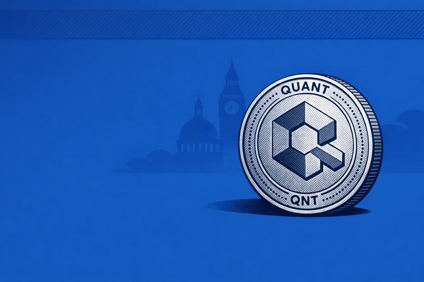 QNT:催化剂最"硬",但也最容易被高估