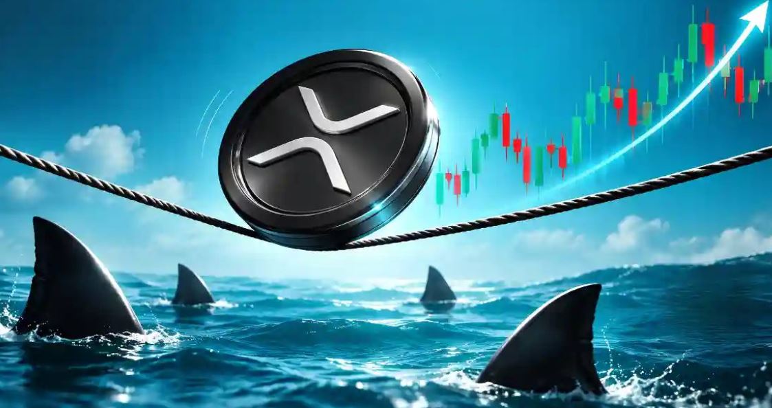 韩国XRP主题领先地位被AI加密交易取代